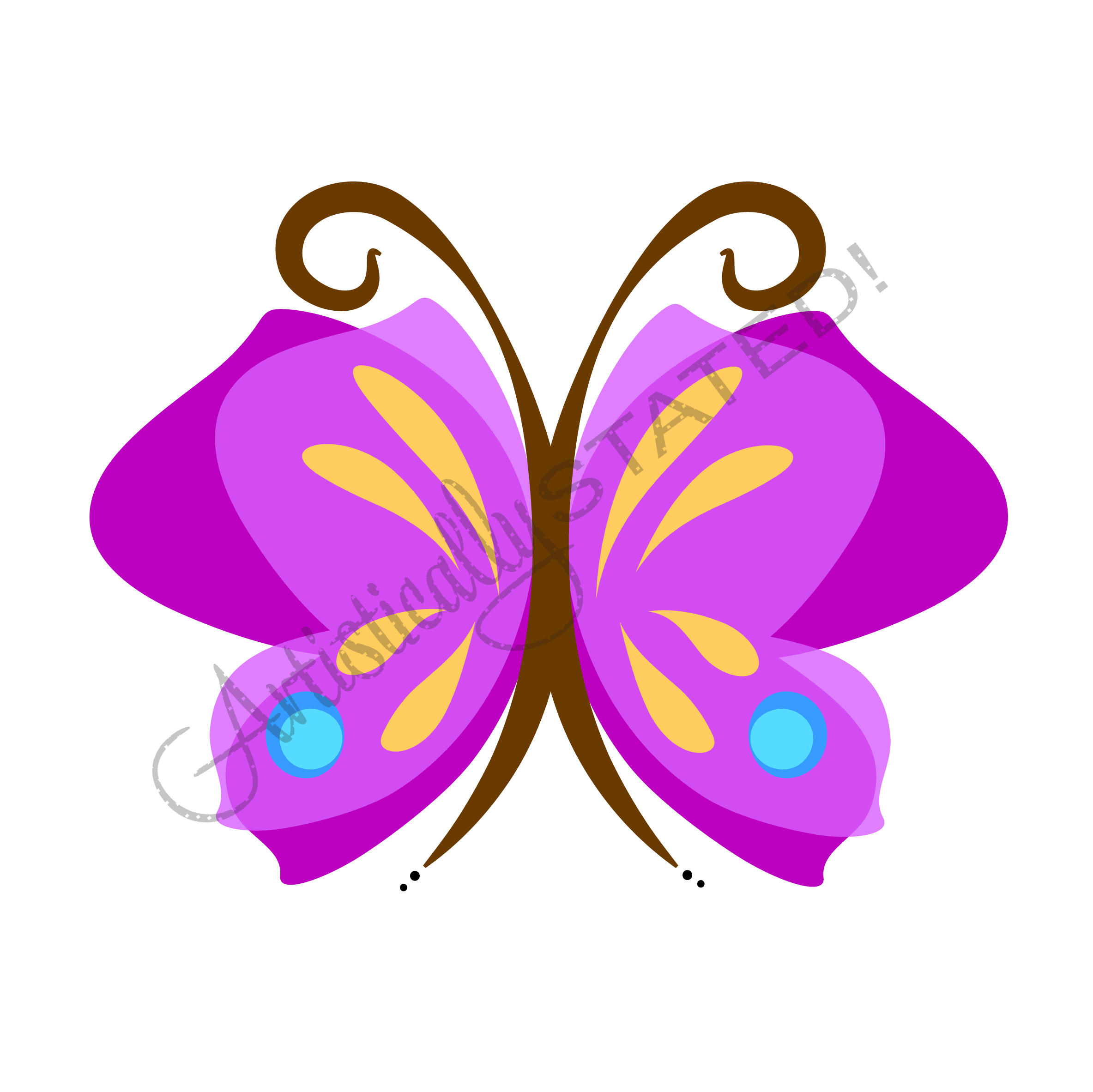 Colorful Butterfly